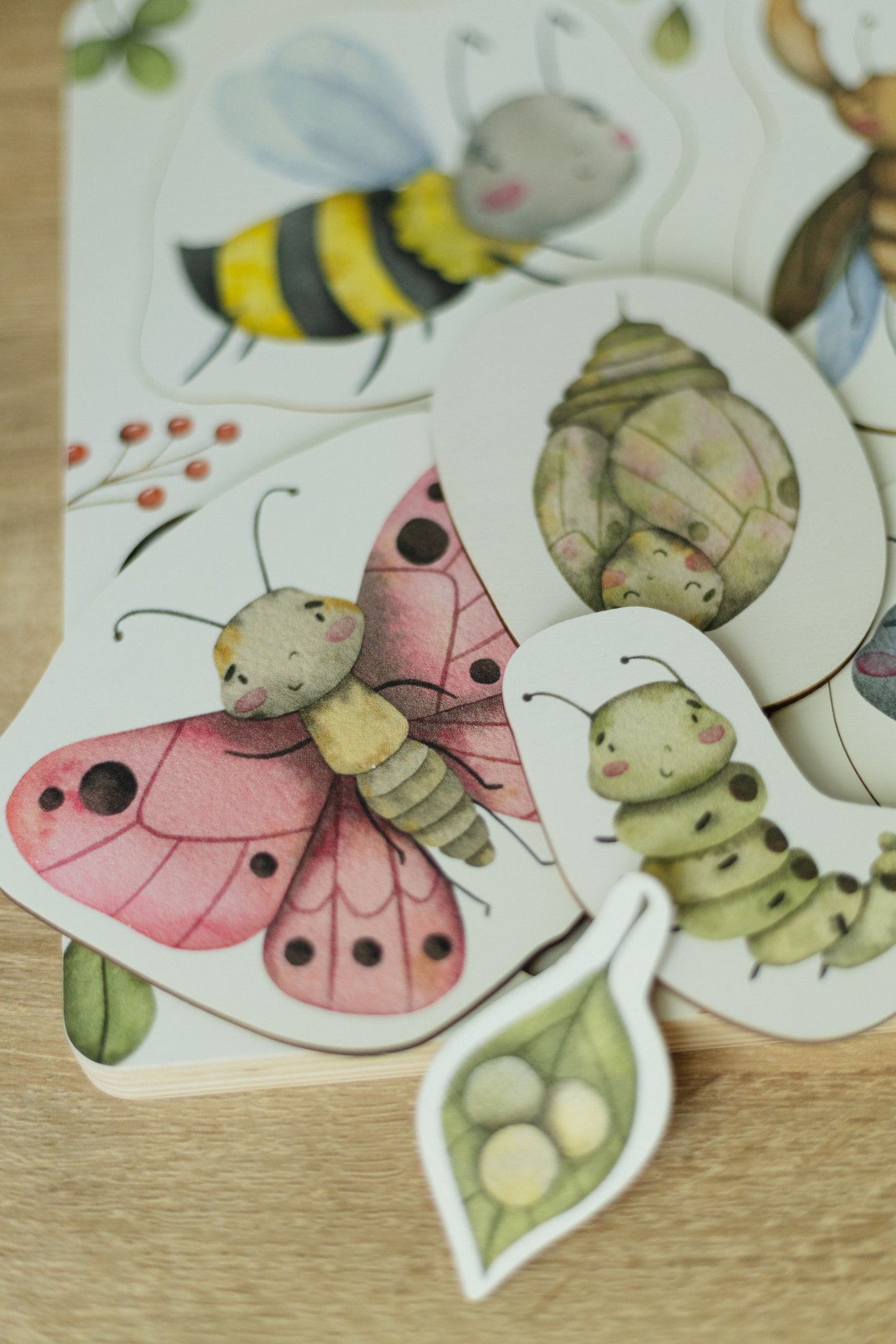 Puzzle en bois sur le cycle de vie des insectes