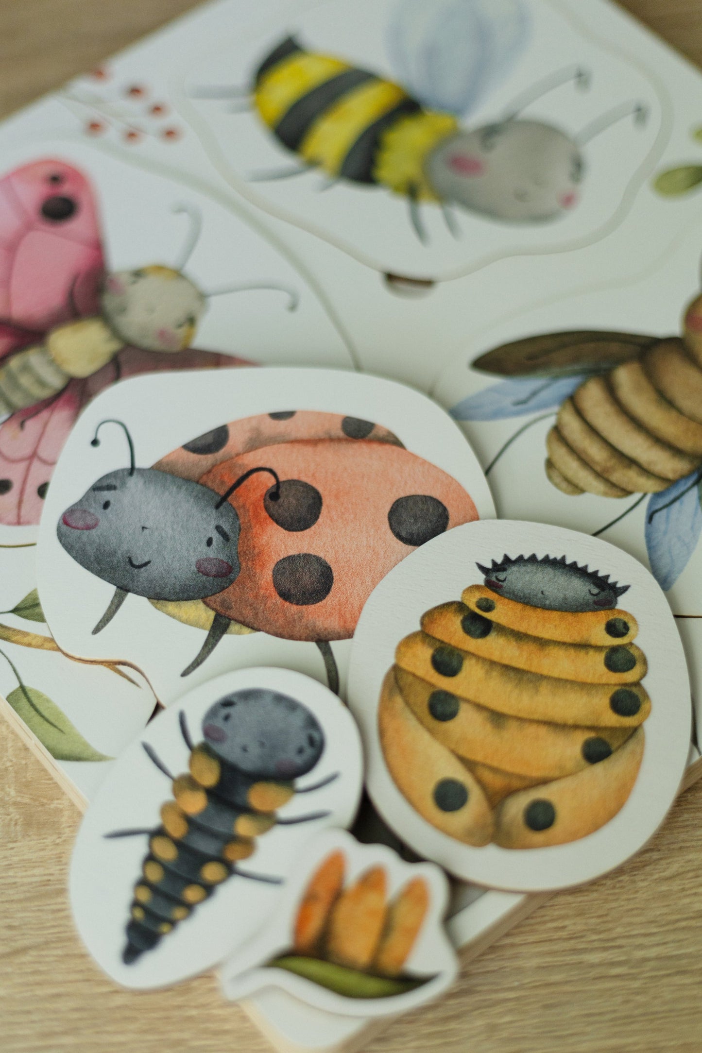 Puzzle en bois sur le cycle de vie des insectes
