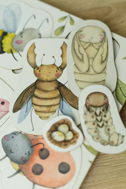 Puzzle en bois sur le cycle de vie des insectes