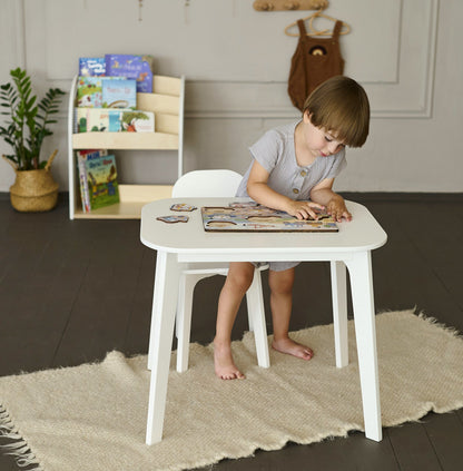 Ensemble de puzzles : Transports, Dinosaures et Système solaire 