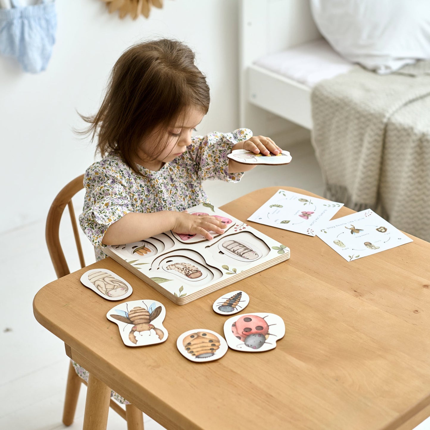 Ensemble de puzzles « Où vivent les abeilles », « Où vivent les fourmis » et « Cycle de vie des insectes » 