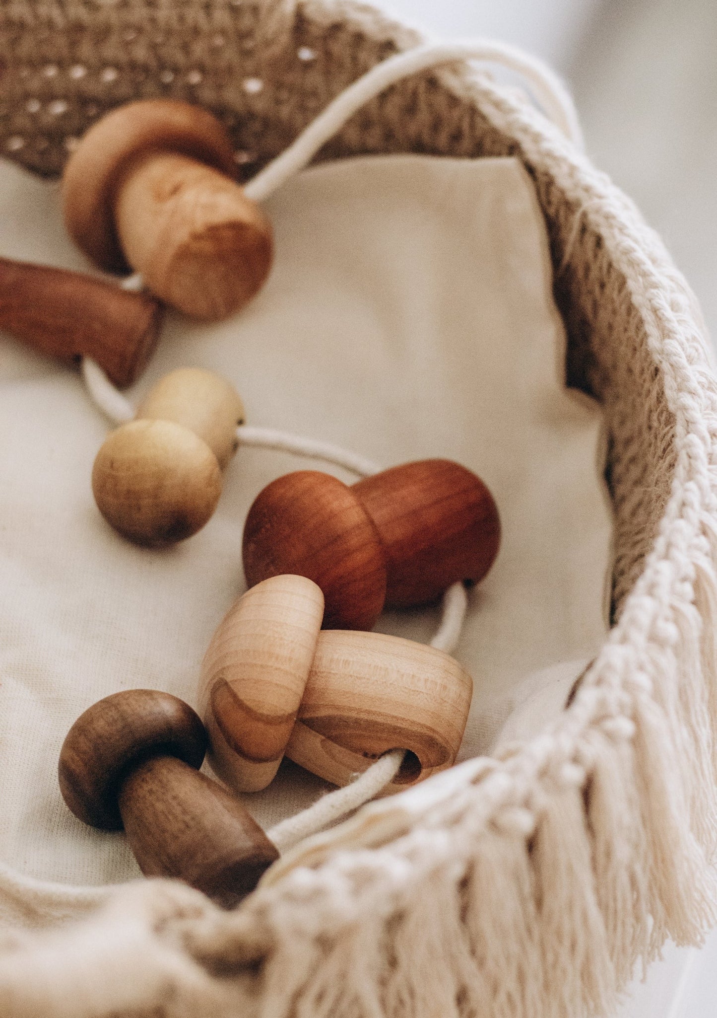Jeu de laçage en bois Champignons